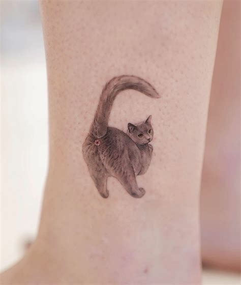 cat bum tattoo|cat butthole tattoos.